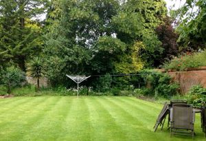 Photo 14- click for photo gallery